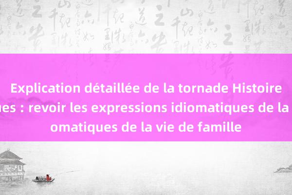 Explication détaillée de la tornade Histoires humoristiques : revoir les expressions idiomatiques de la vie de famille