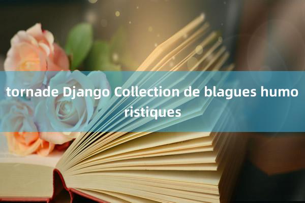 tornade Django Collection de blagues humoristiques