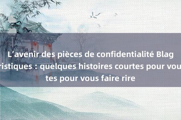 L’avenir des pièces de confidentialité Blagues humoristiques : quelques histoires courtes pour vous faire rire